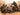 Master Box LTD 1/35 Box Under Fire Modern US Infantry (x4)